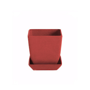 Cube Series: Tasman - 8.7cm square Biodegradable plant pots