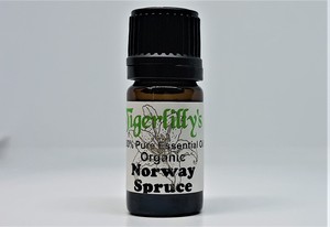 Spruce Norway Essential Oil – Organic
