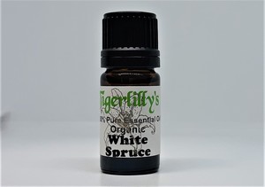 Essential Oils: Spruce White Essential Oil – Organic