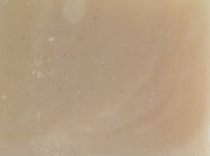 Soaps - Tigerlilly's - Natural Skin Care and Soaps: Aloe Vera Soap