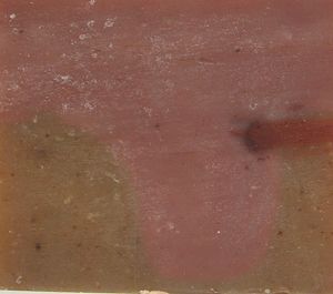 Scented: Cinnage soap