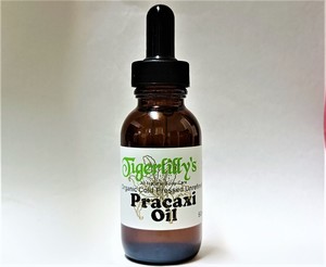 Carrier Oils: Pracaxi Oil – Cold Pressed Organic Virgin