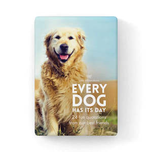 Books: Little Affirmations: Every Dog Has Its Day