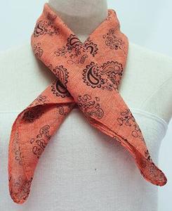 Orange Paisley Scarf
