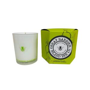 Candles: Hibiscus and Lime Candle