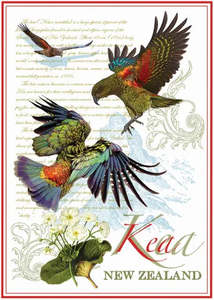 Tea Towels: Vintage Kea Tea Towel