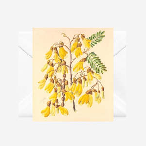 Sarah Featon: Sarah Featon - Cards - Yellow Kowhai - 6 Pack