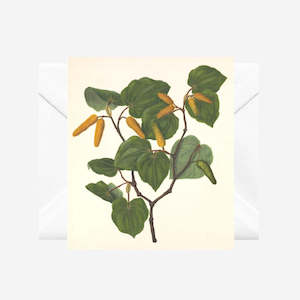 Sarah Featon: Sarah Featon - Cards - Kawakawa - 6 Pack