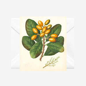 Sarah Featon: Sarah Featon - Cards - Karaka - 6 Pack