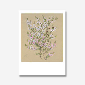 Sarah Featon: Sarah Featon - Print - Manuka