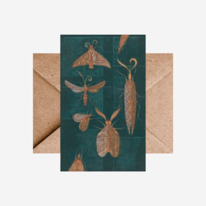 Eileen Mayo: Eileen Mayo - Card - Moths on the window