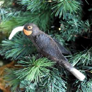 Huia NZ Native Bird - Hand Felted