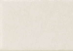 Size 4x12 5cmx8 5cm: Skin White Matt - SQM