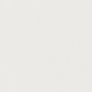 Products: Super White Matt 30x60