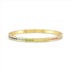 Nomination: Nomination Pretty Bangles 029505/06/024 Gold With Rainbow CZ
