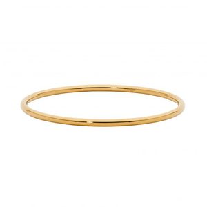 Ellani Stainless Steel Yellow Gold Plated Bangle SB212G-65