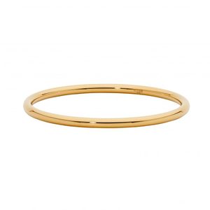 Ellani Stainless Steel Bangle With Yellow Gold Plate SB213G-65