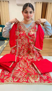 Punjabi Suits: ( Code: 729 )