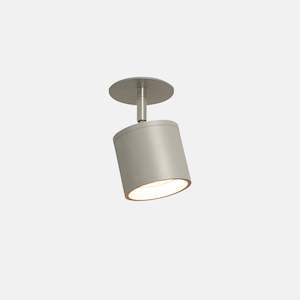 Pivot Recessed Light