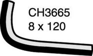 BYPASS HOSE NAVARA 2.4 CH3665