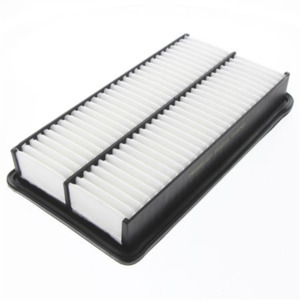 Misc Filters: Air Filter PSA200