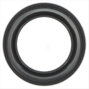 Oil Seal 98783