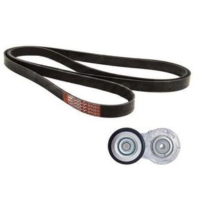 Drive Belt: Gates Micro-V Multi Accessory Drive Belt Kit AK016PK2870