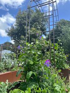 Corten: The Ruapehu Corten Archway
