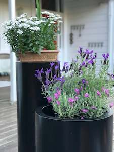 Corten: 2nd: 350 Black Cylinder