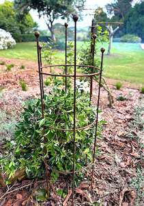 Corten: Column Plant Support