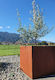 Corten Cube
