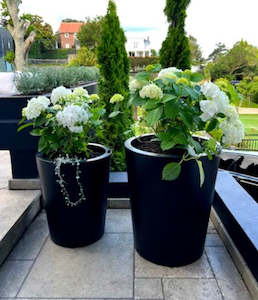 Powdercoated Planters: Black Tapered Cylinders