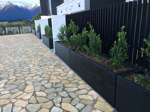 Frontpage: Premium Matte Black Aluminium Planter — Limited Release (1800mm Trough)