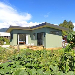 Frontpage: THE ANATOKI