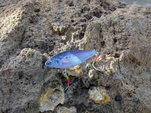 Little Jack: Little Jack More Keen 02 Vibe Blade