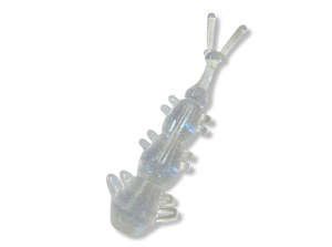 Arukazik Japan Umigera 1.2" Ajing Soft Bait