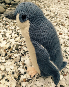 Cameron James:  Darwin the little blue penguin
