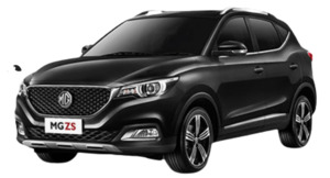 Products: Mg Zs Ev