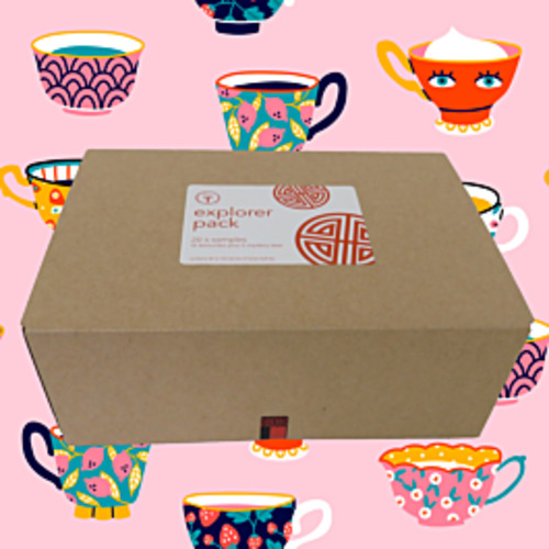 20 Sampler explorer pack