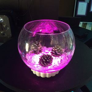 Fish Bowls - large TLL Events
