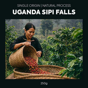 Single Origin Coffes: Single Origin - Uganda Sipi Falls Natural