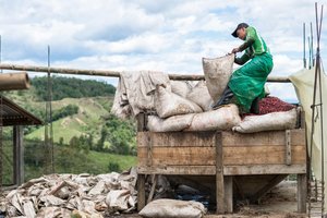 Single Origin - Colombia - Javier Quintero