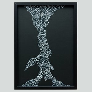 Products: Kōkiri - Toi Ngapuhi