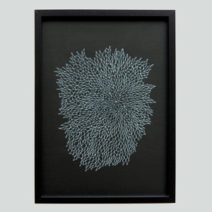 Products: Pūrangiaho - Toi Ngapuhi