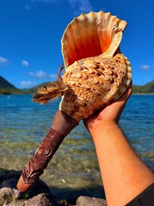 Products: Pūtātara - Te Hiringa a Tāne Nui a Rangi - TOI NIKORIMA