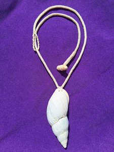 Products: Taonga Binding Service - Toi Oho