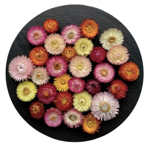 Flowers: Mixed Colour Dried Strawflowers