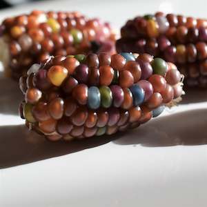 Other: Mini Glass Corn