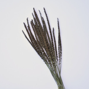 Flowerstems: Dried Plantain Stems