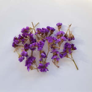 Flowers: Statice Pieces - Purple